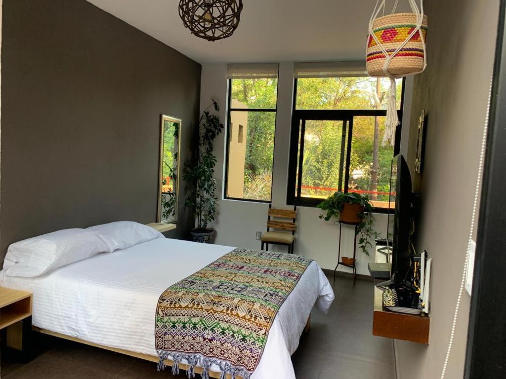 The Reef House Condesa Frühstückspension *